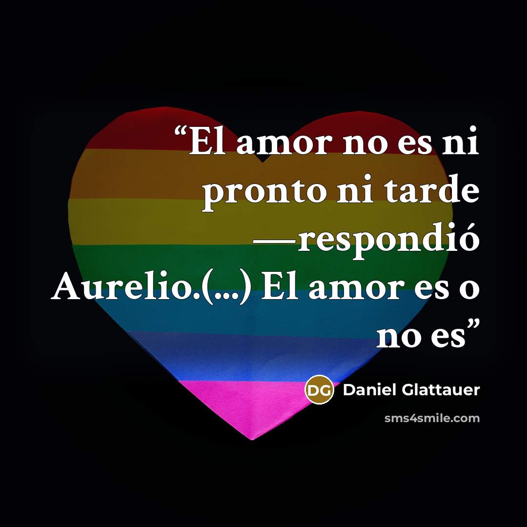 “El amor no es ni pronto ni tarde —respondió Aurelio.(...) El amor es o no es” quote by Daniel Glattauer
