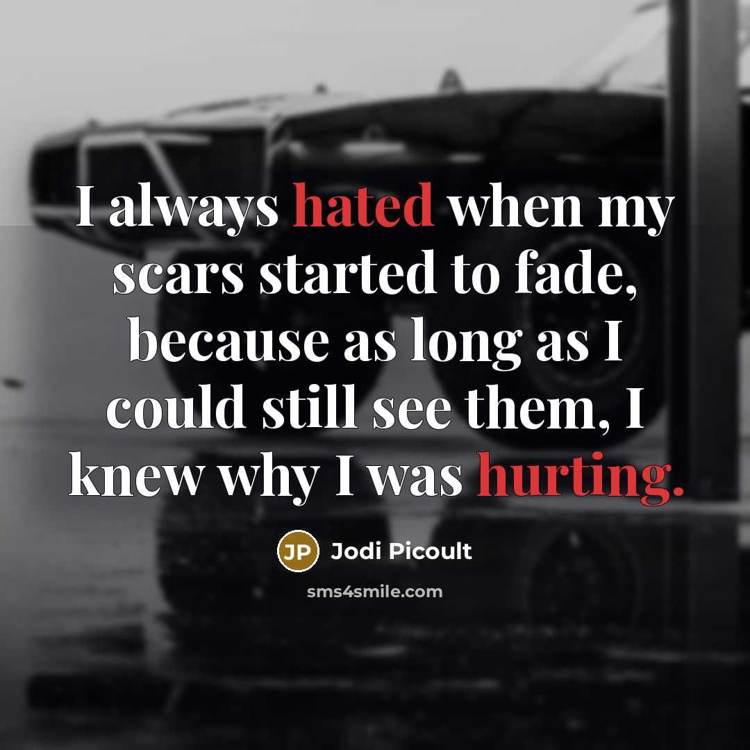 “I always hated when my scars started to fade, because as long as I could still see them, I knew why I was hurting.” quote by Jodi Picoult