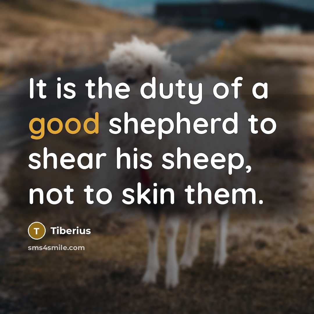 “It is the duty of a good shepherd to shear his sheep, not to skin them.” quote by Tiberius