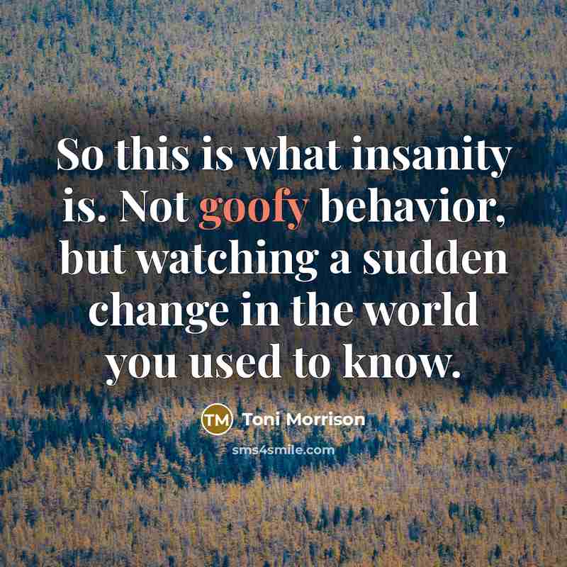 “So this is what insanity is. Not goofy behavior, but watching a sudden change in the world you used to know.” quote by Toni Morrison