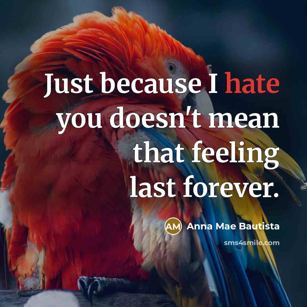“Just because I hate you doesn't mean that feeling last forever.” quote by Anna Mae Bautista