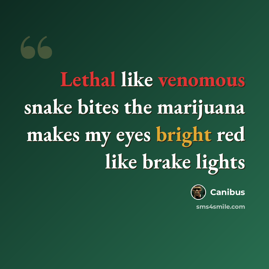 “Lethal like venomous snake bites the marijuana makes my eyes bright red like brake lights” quote by Canibus