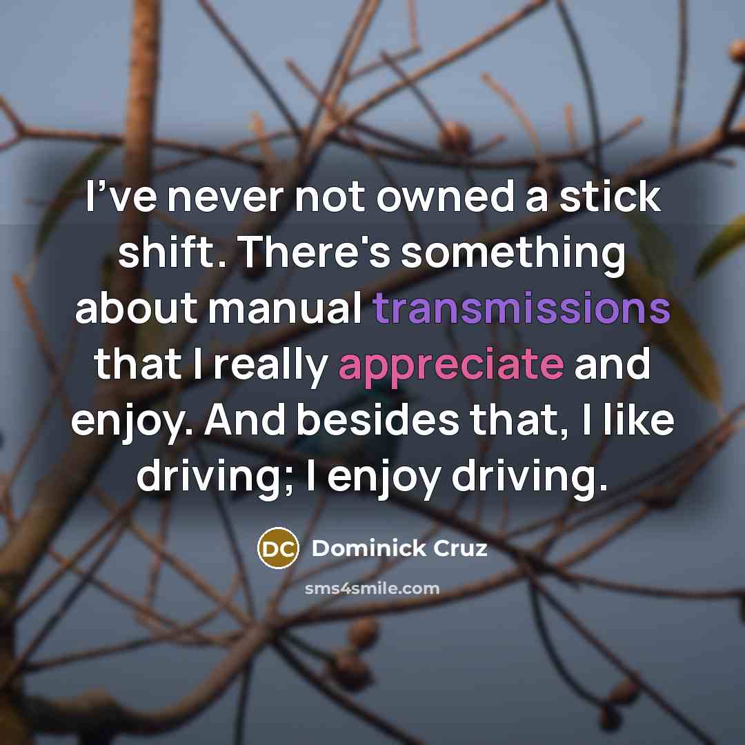 “I've never not owned a stick shift. There's something about manual transmissions that I really appreciate and enjoy. And besides that, I like driving; I enjoy driving.” quote by Dominick Cruz