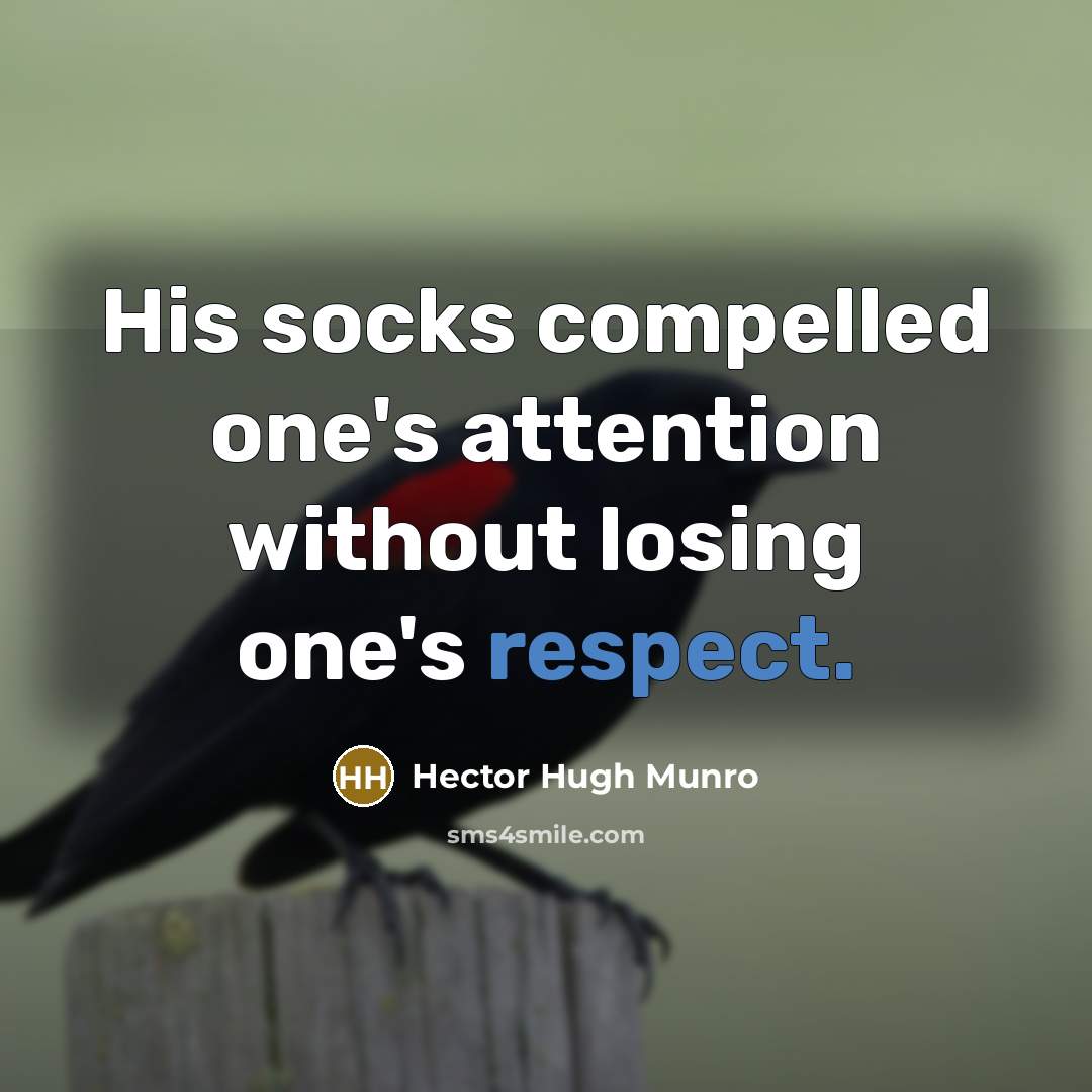 “His socks compelled one's attention without losing one's respect.” quote by Hector Hugh Munro
