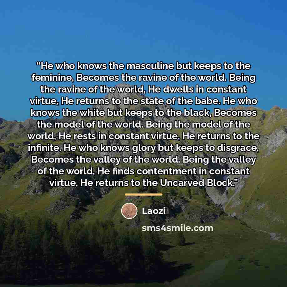 “He who knows the masculine but keeps to the feminine, Becomes the ravine of the world. Being the ravine of the world, He dwells in constant virtue, He returns to the state of the babe. He who knows the white but keeps to the black, Becomes the model of the world. Being the model of the world, He…” quote by Laozi