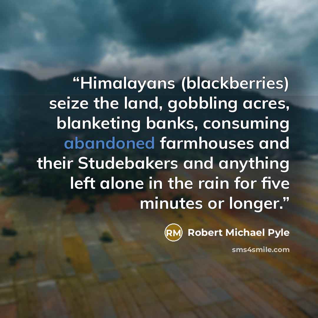 “Himalayans (blackberries) seize the land, gobbling acres, blanketing banks, consuming abandoned farmhouses and their Studebakers and anything left alone in the rain for five minutes or longer.” quote by Robert Michael Pyle