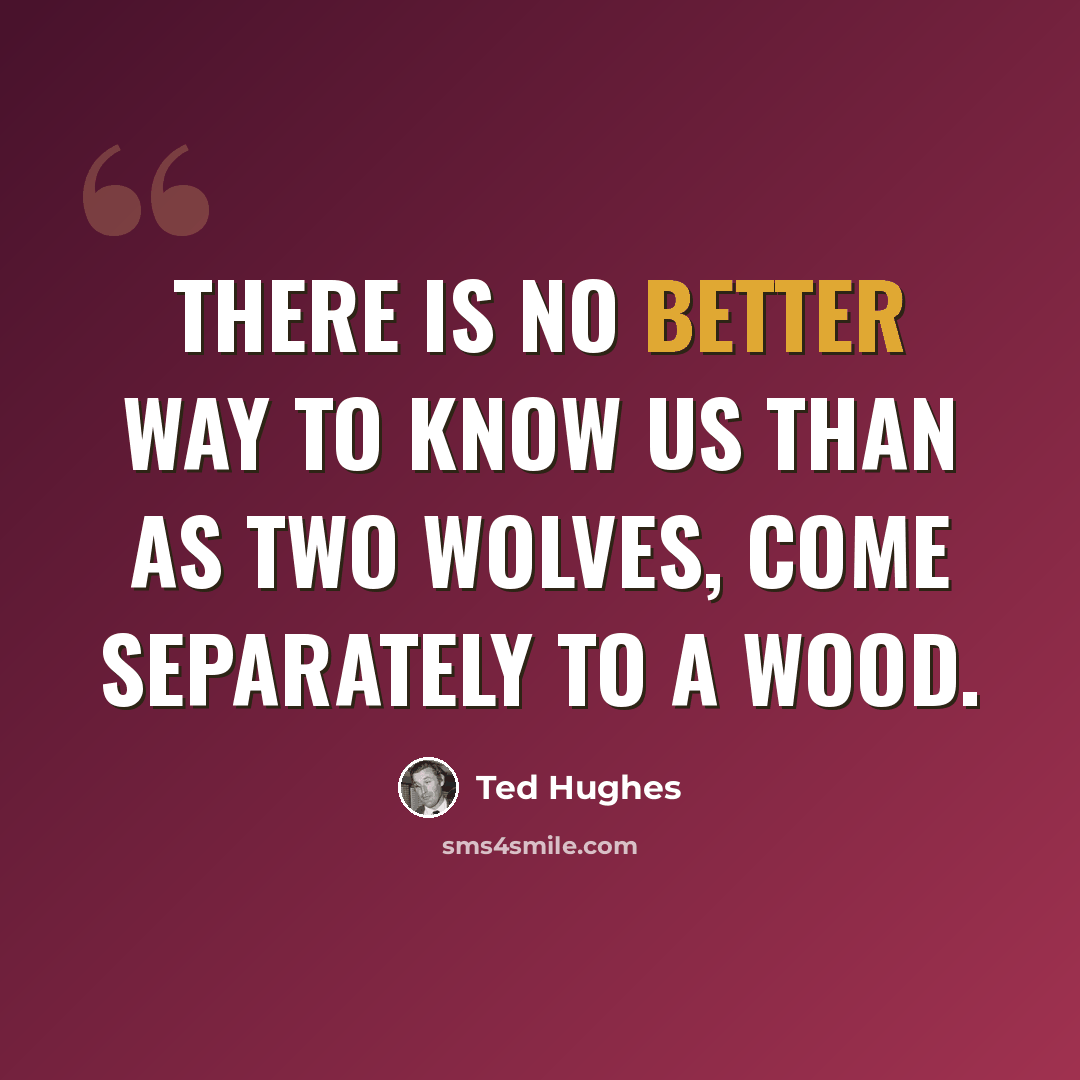 “There is no better way to know us Than as two wolves, come separately to a wood.” quote by Ted Hughes