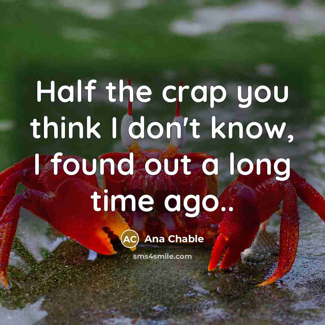 “Half the crap you think I don't know, I found out a long time ago..” quote by Ana Chable