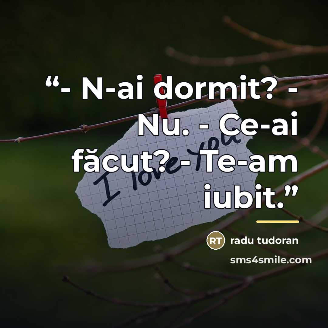 “- N-ai dormit? - Nu. - Ce-ai făcut? - Te-am iubit.” quote by Radu Tudoran