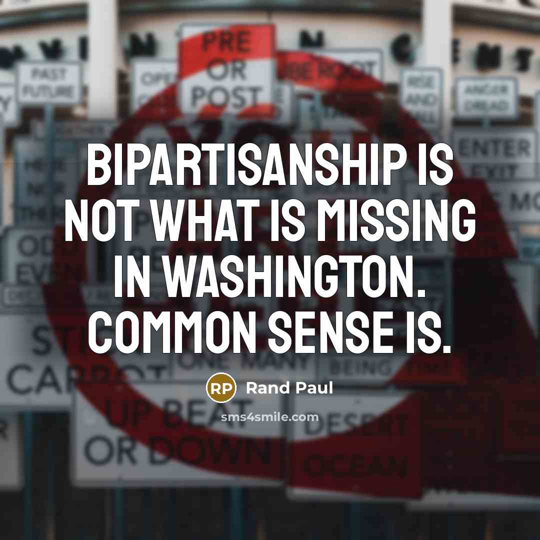 “Bipartisanship is not what is missing in Washington. Common sense is.” quote by Rand Paul