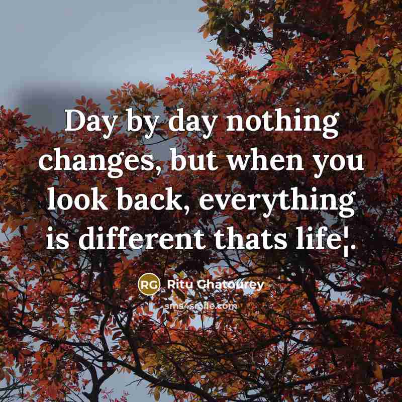 “Day by day nothing changes, but when you look back, everything is different thats life¦.” quote by Ritu Ghatourey