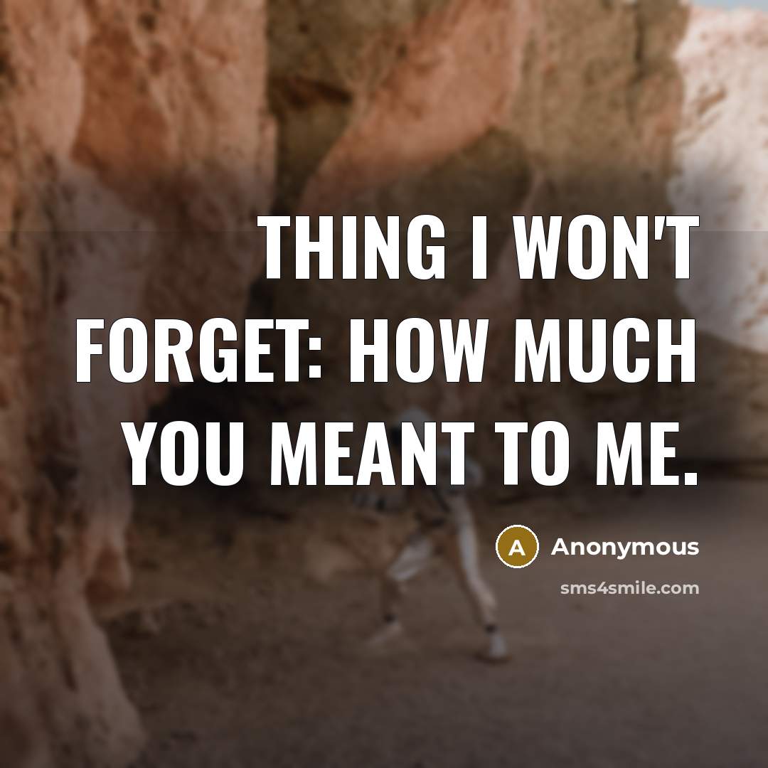 “Thing I won't forget: How much you meant to me.” quote by Anonymous