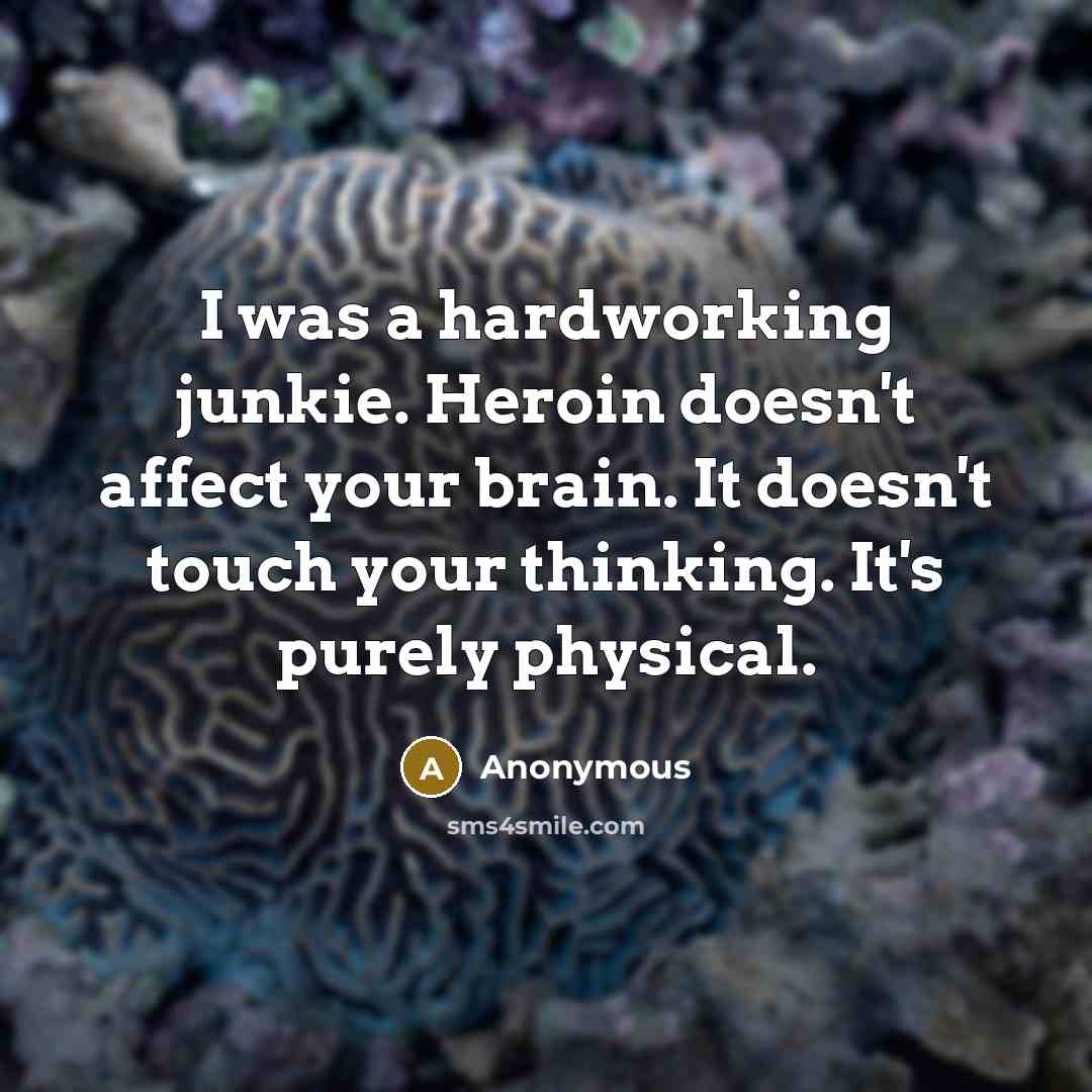 “I was a hardworking junkie. Heroin doesn't affect your brain. It doesn't touch your thinking. It's purely physical.” quote by Anonymous