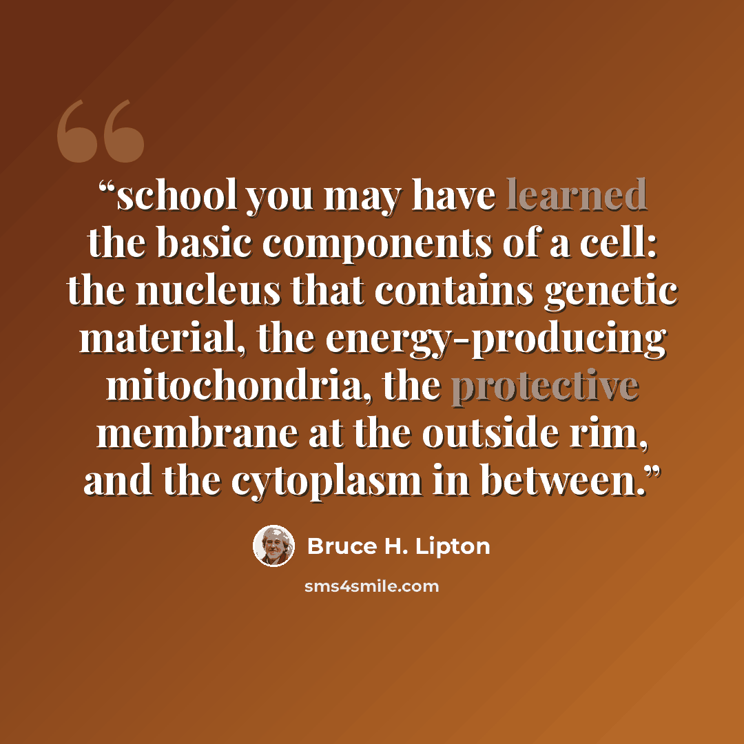“school you may have learned the basic components of a cell: the nucleus that contains genetic material, the energy-producing mitochondria, the protective membrane at the outside rim, and the cytoplasm in between.” quote by Bruce H. Lipton