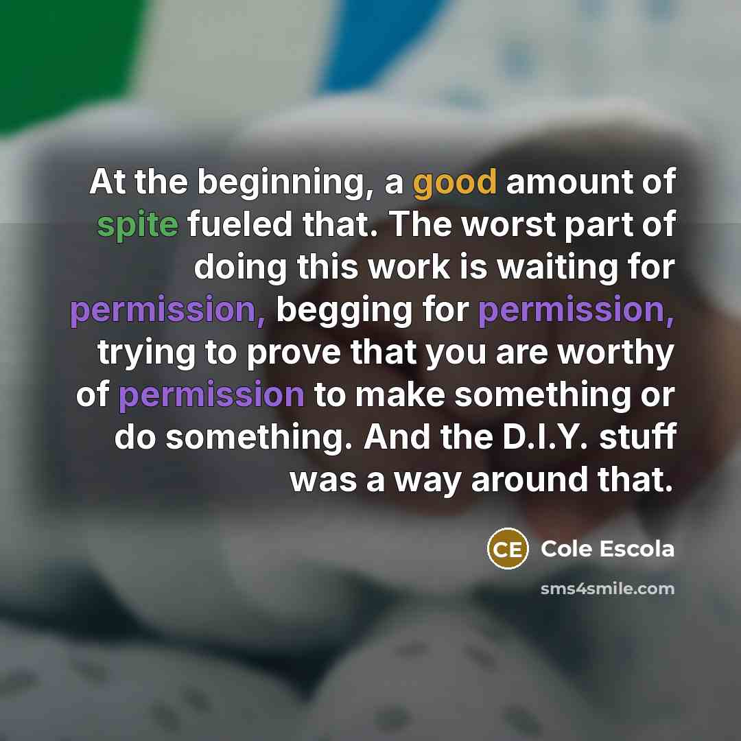 “At the beginning, a good amount of spite fueled that. The worst part of doing this work is waiting for permission, begging for permission, trying to prove that you are worthy of permission to make something or do something. And the D.I.Y. stuff was a way around that.” quote by Cole Escola