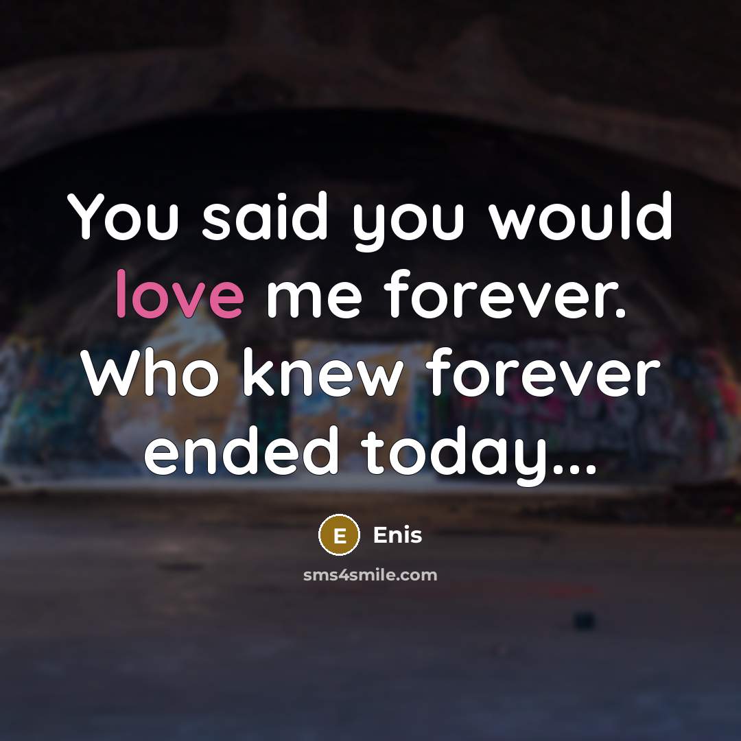 “You said you would love me forever. Who knew forever ended today...” quote by Enis