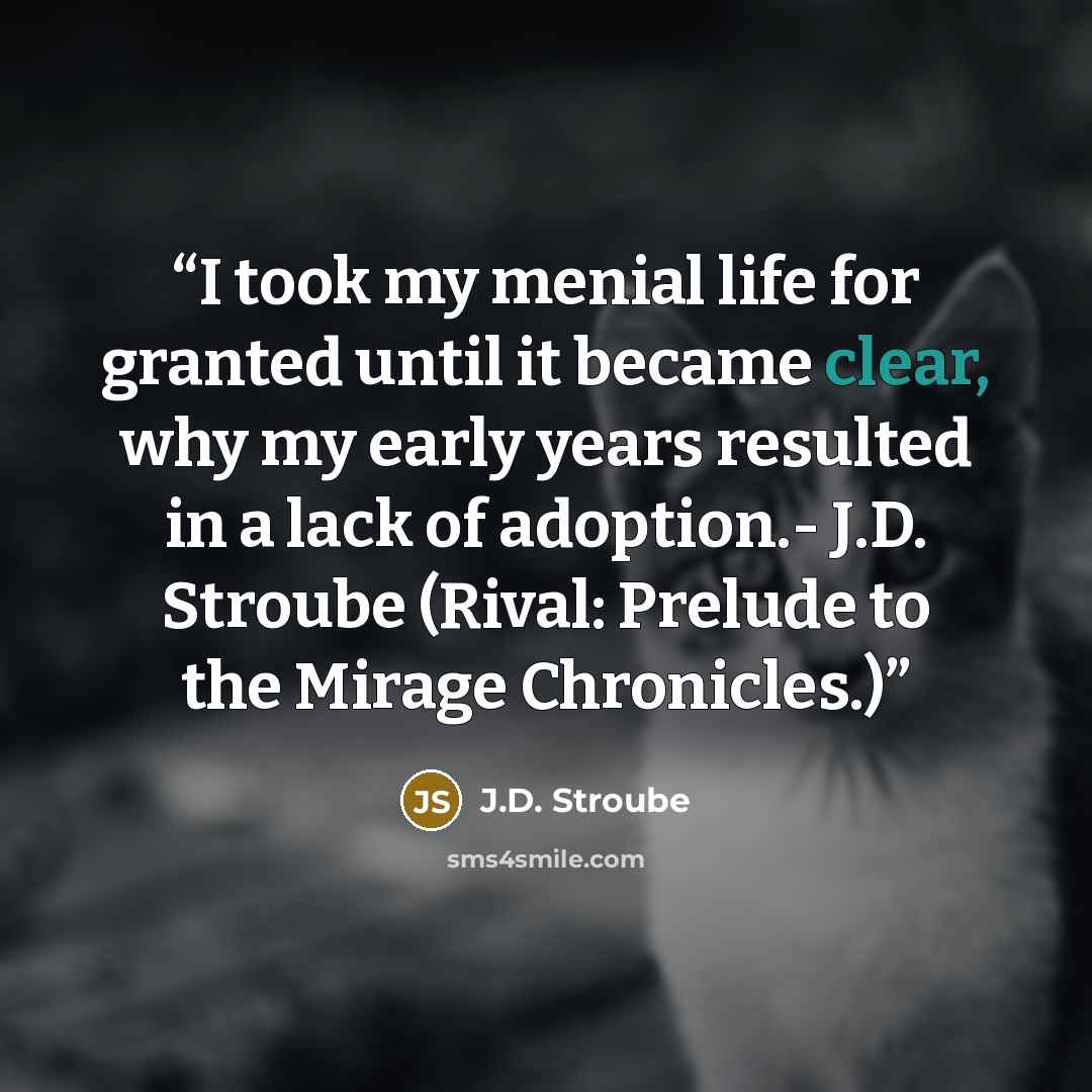 “I took my menial life for granted until it became clear, why my early years resulted in a lack of adoption.- J.D. Stroube (Rival: Prelude to the Mirage Chronicles.)” quote by J.D. Stroube