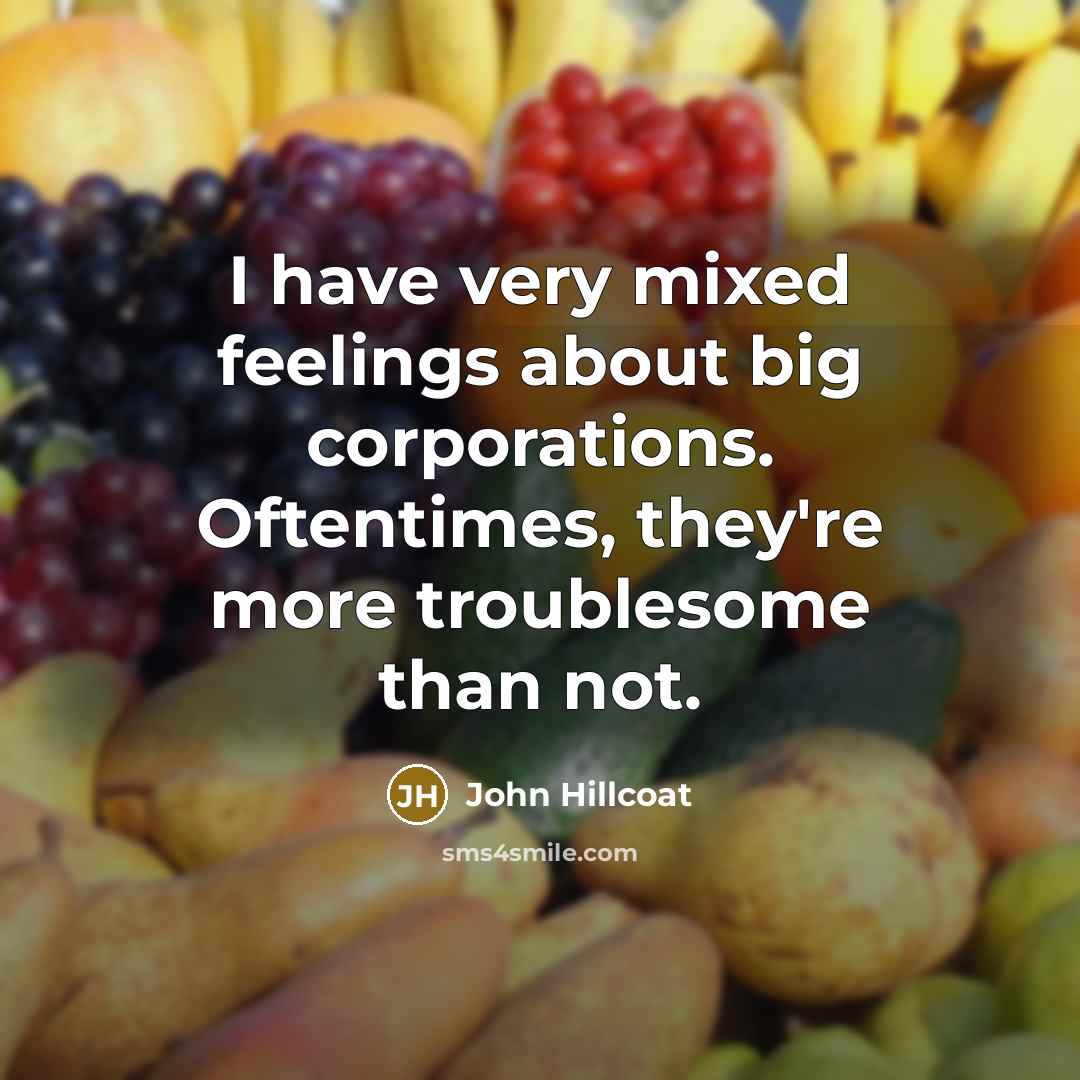 “I have very mixed feelings about big corporations. Oftentimes, they're more troublesome than not.” quote by John Hillcoat