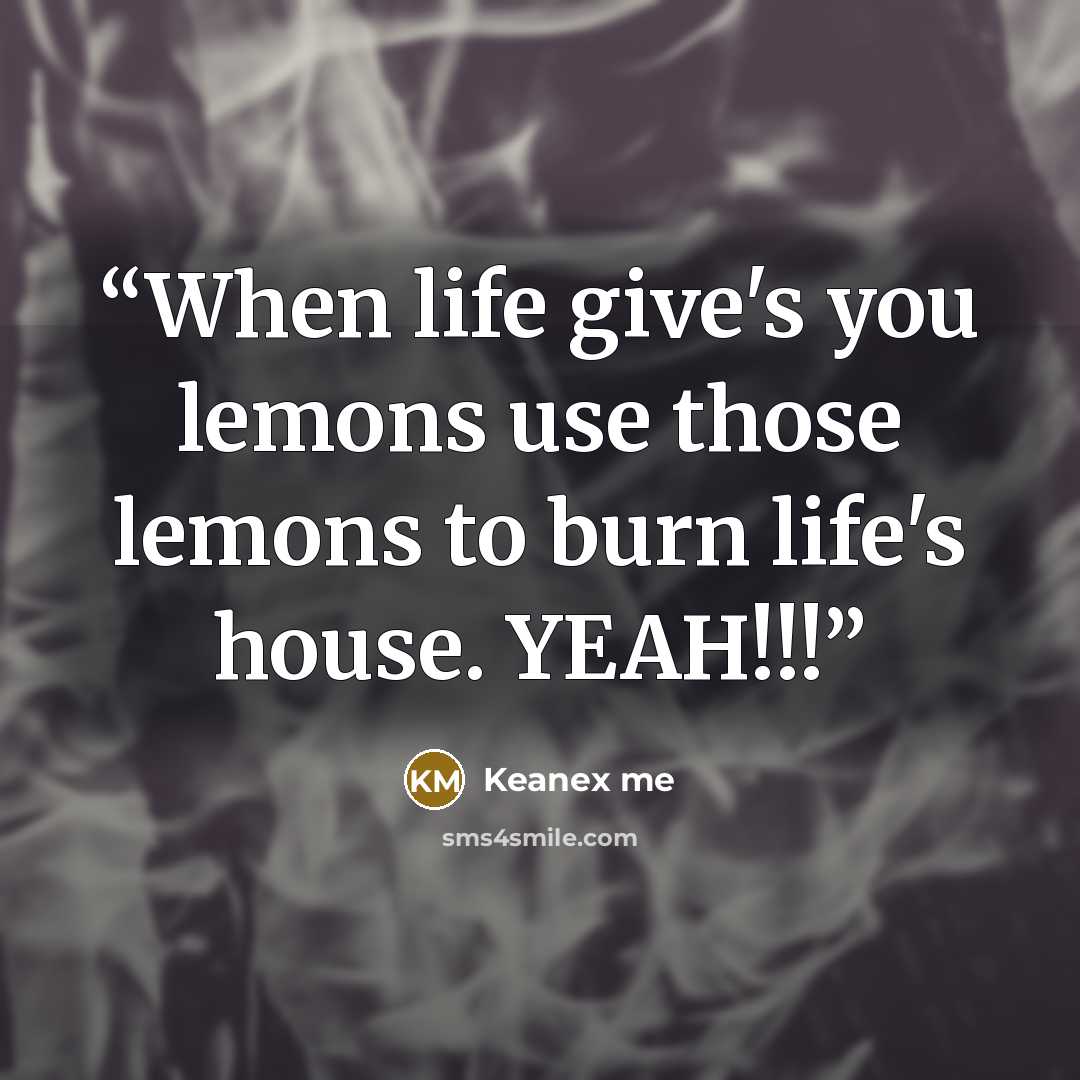 “When life give's you lemons use those lemons to burn life's house. YEAH!!!” quote by Keanex me