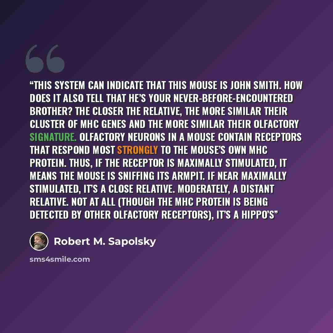 “This system can indicate that this mouse is John Smith. How does it also tell that he’s your never-before-encountered brother? The closer the relative, the more similar their cluster of MHC genes and the more similar their olfactory signature. Olfactory neurons in a mouse contain receptors that…” quote by Robert M. Sapolsky