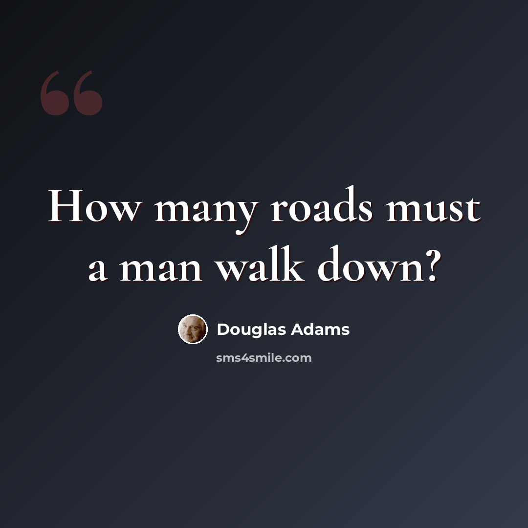 “How many roads must a man walk down?” quote by Douglas Adams