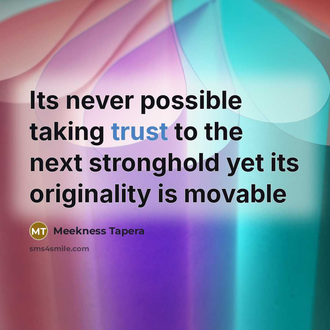 “Its never possible taking trust to the next stronghold yet its originality is movable” quote by Meekness Tapera