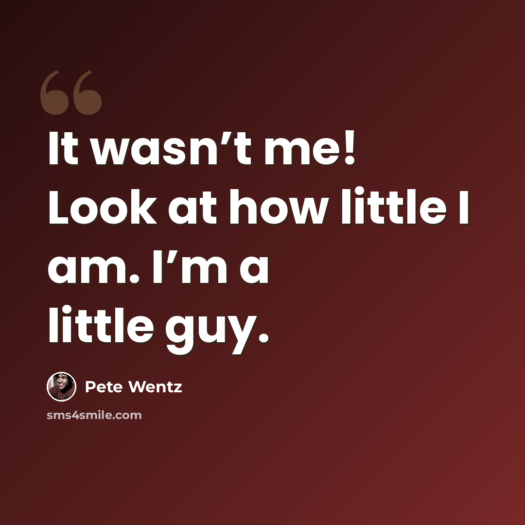 “It wasn’t me! Look at how little I am. I’m a little guy.” quote by Pete Wentz