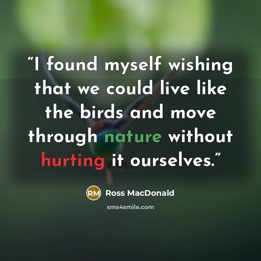 “I found myself wishing that we could live like the birds and move through nature without hurting it ourselves.” quote by Ross Macdonald
