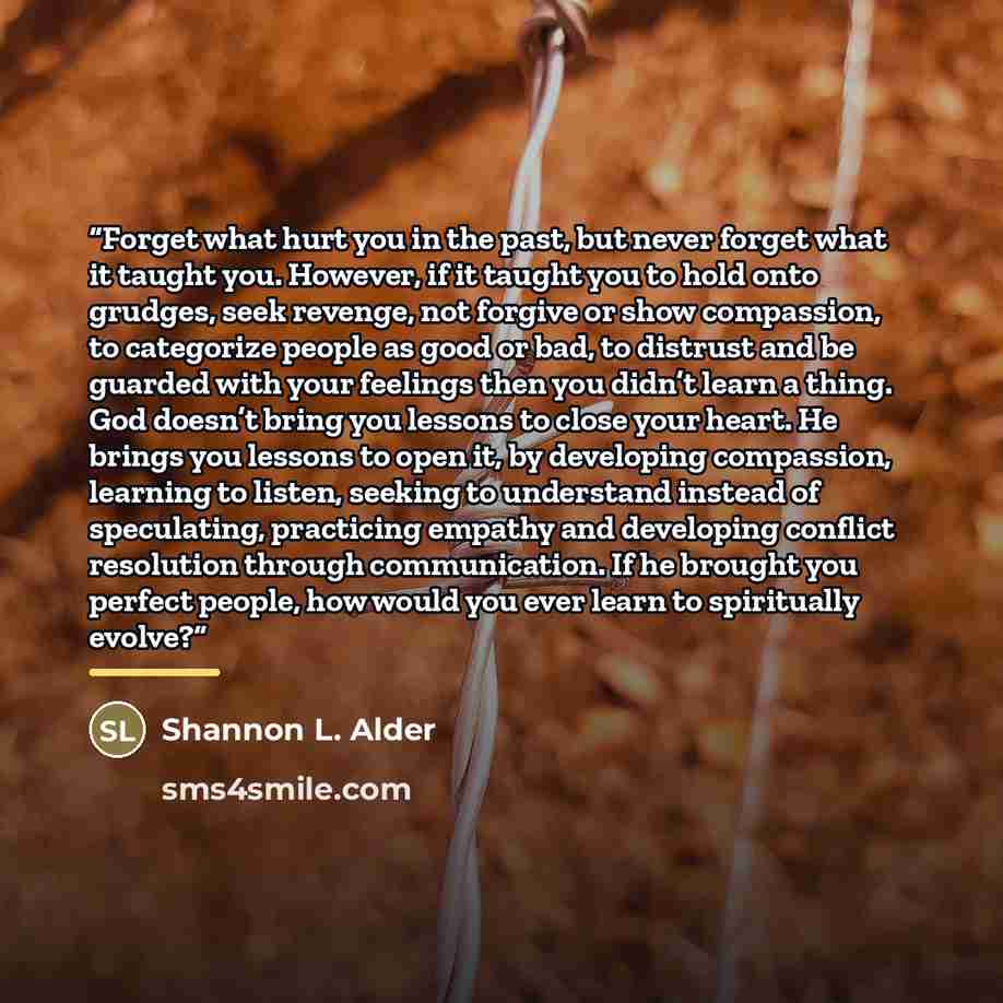 “Forget what hurt you in the past, but never forget what it taught you. However, if it taught you to hold onto grudges, seek revenge, not forgive or show compassion, to categorize people as good or bad, to distrust and be guarded with your feelings then you didn’t learn a thing. God doesn’t bring…” quote by Shannon L. Alder