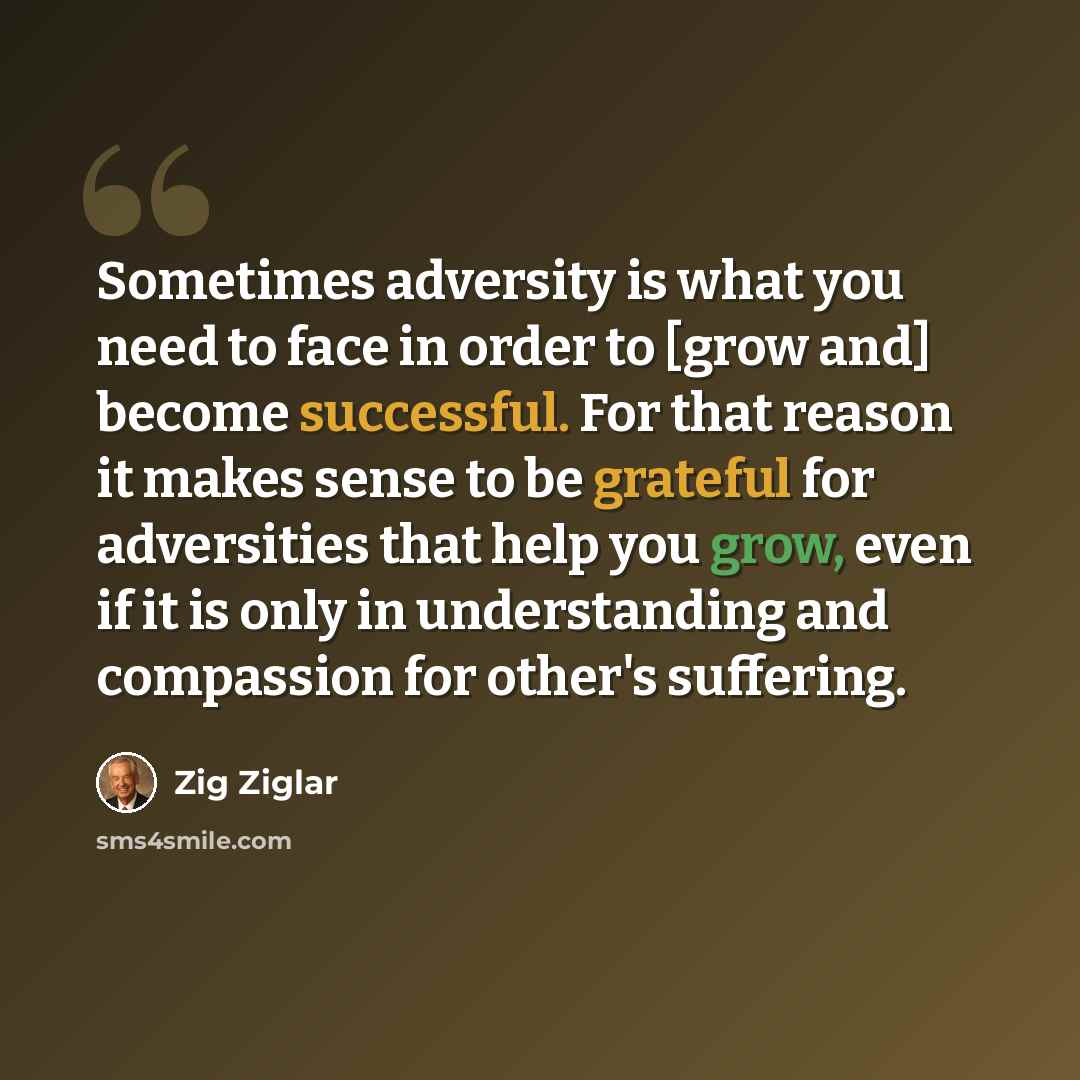 “Sometimes adversity is what you need to face in order to [grow and] become successful. For that reason it makes sense to be grateful for adversities that help you grow, even if it is only in understanding and compassion for other's suffering.” quote by Zig Ziglar