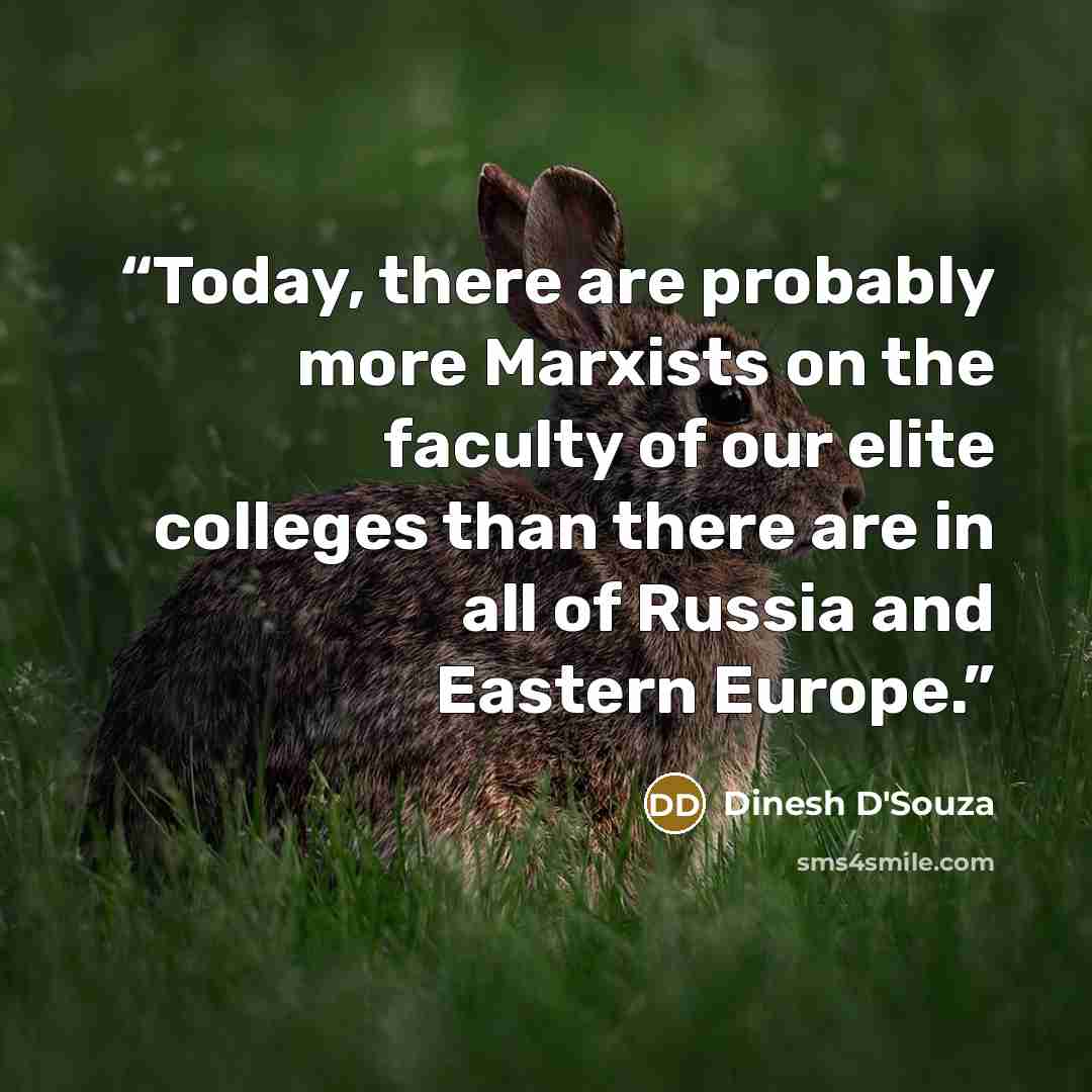 “Today, there are probably more Marxists on the faculty of our elite colleges than there are in all of Russia and Eastern Europe.” quote by Dinesh D'Souza