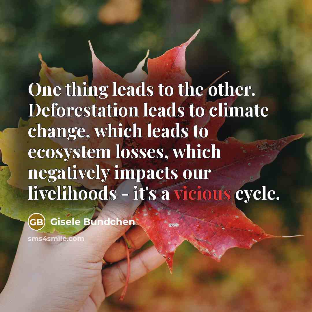 “One thing leads to the other. Deforestation leads to climate change, which leads to ecosystem losses, which negatively impacts our livelihoods - it's a vicious cycle.” quote by Gisele Bundchen