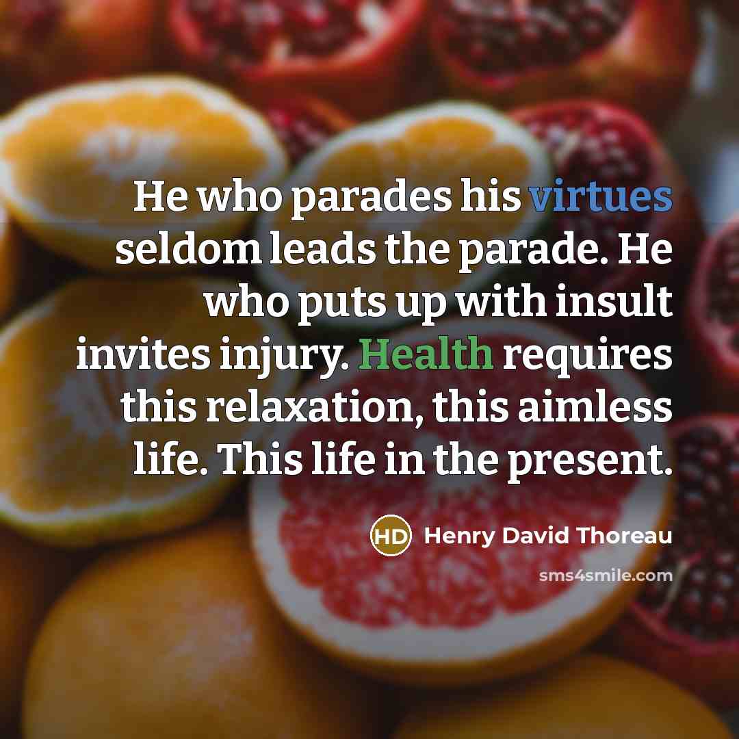 “He who parades his virtues seldom leads the parade. He who puts up with insult invites injury. Health requires this relaxation, this aimless life. This life in the present.” quote by Henry David Thoreau