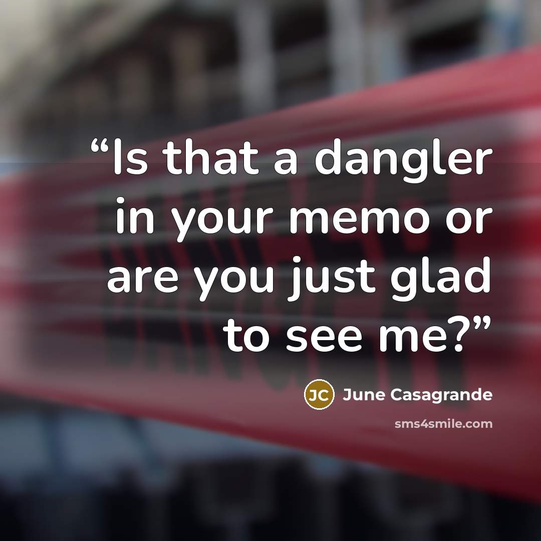 “Is that a dangler in your memo or are you just glad to see me?” quote by June Casagrande