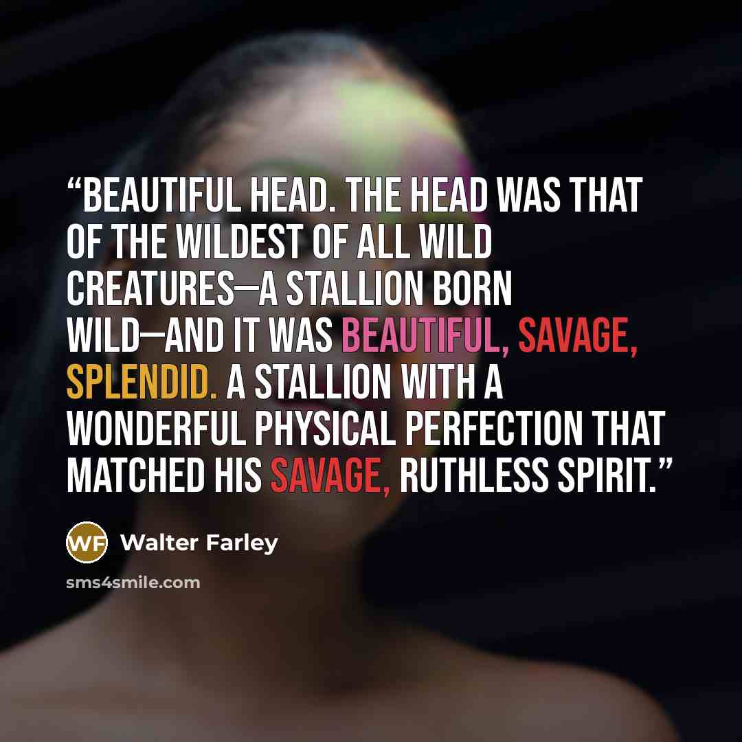 “beautiful head. The head was that of the wildest of all wild creatures—a stallion born wild—and it was beautiful, savage, splendid. A stallion with a wonderful physical perfection that matched his savage, ruthless spirit.” quote by Walter Farley