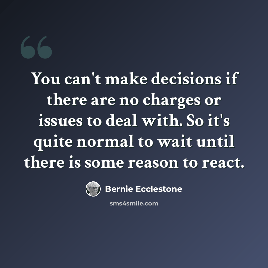 “You can't make decisions if there are no charges or issues to deal with. So it's quite normal to wait until there is some reason to react.” quote by Bernie Ecclestone