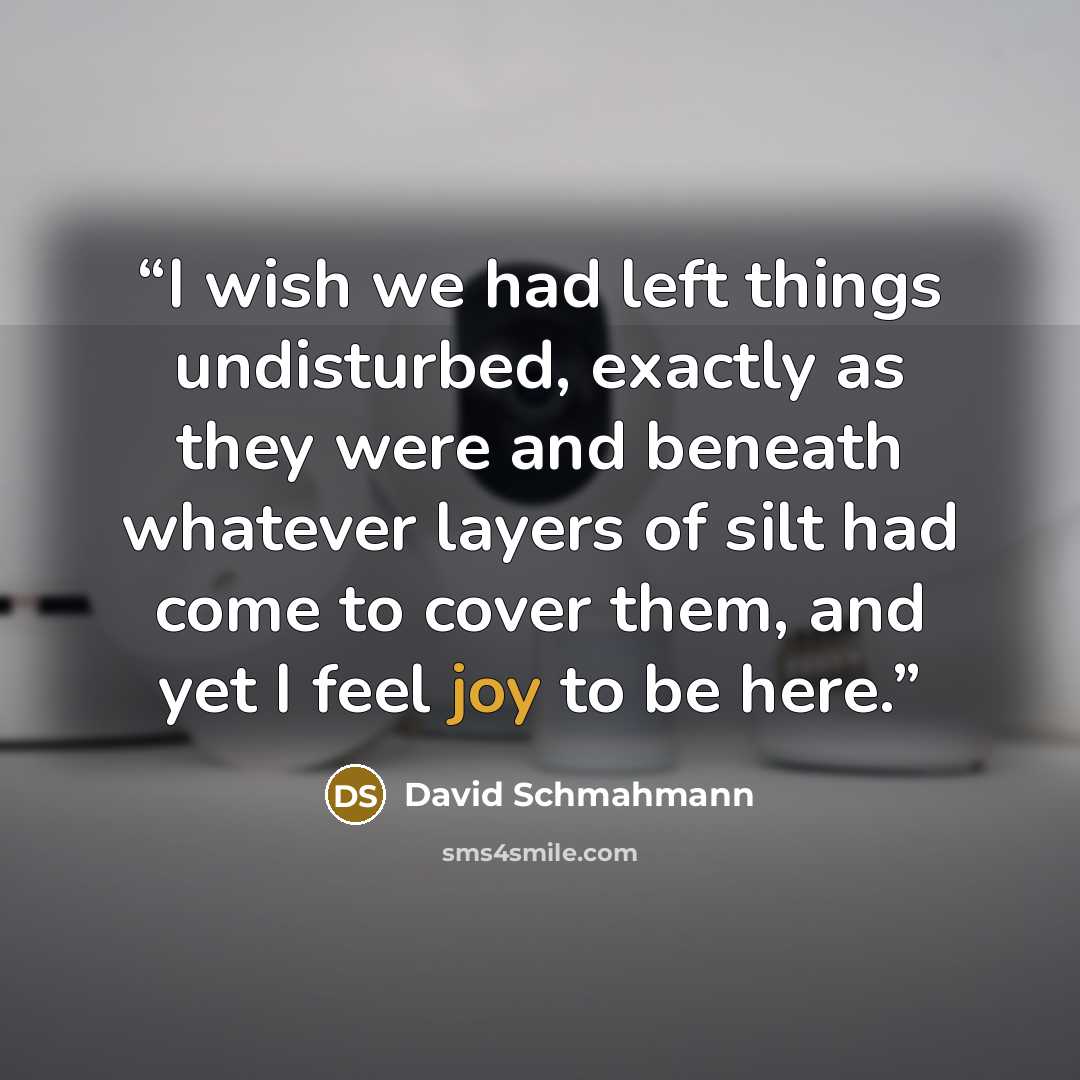 “I wish we had left things undisturbed, exactly as they were and beneath whatever layers of silt had come to cover them, and yet I feel joy to be here.” quote by David Schmahmann