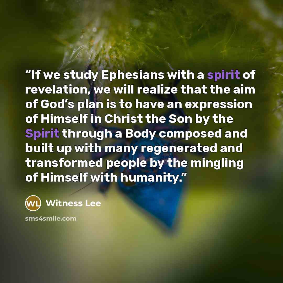 “If we study Ephesians with a spirit of revelation, we will realize that the aim of God’s plan is to have an expression of Himself in Christ the Son by the Spirit through a Body composed and built up with many regenerated and transformed people by the mingling of Himself with humanity.” quote by Witness Lee