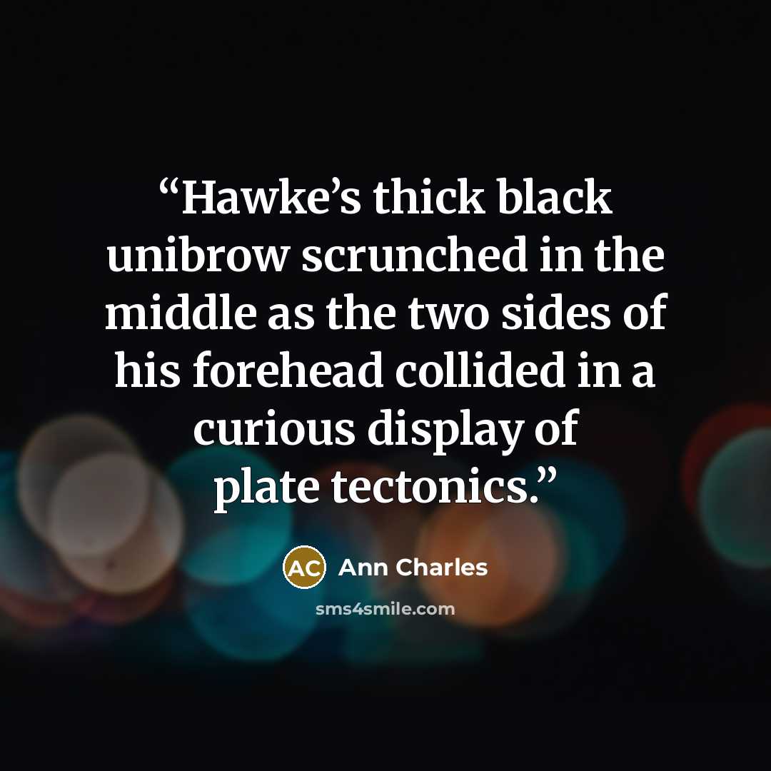 “Hawke’s thick black unibrow scrunched in the middle as the two sides of his forehead collided in a curious display of plate tectonics.” quote by Ann Charles