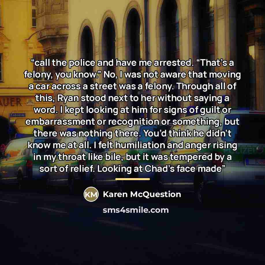 “call the police and have me arrested. “That’s a felony, you know.” No, I was not aware that moving a car across a street was a felony. Through all of this, Ryan stood next to her without saying a word. I kept looking at him for signs of guilt or embarrassment or recognition or something, but there…” quote by Karen McQuestion