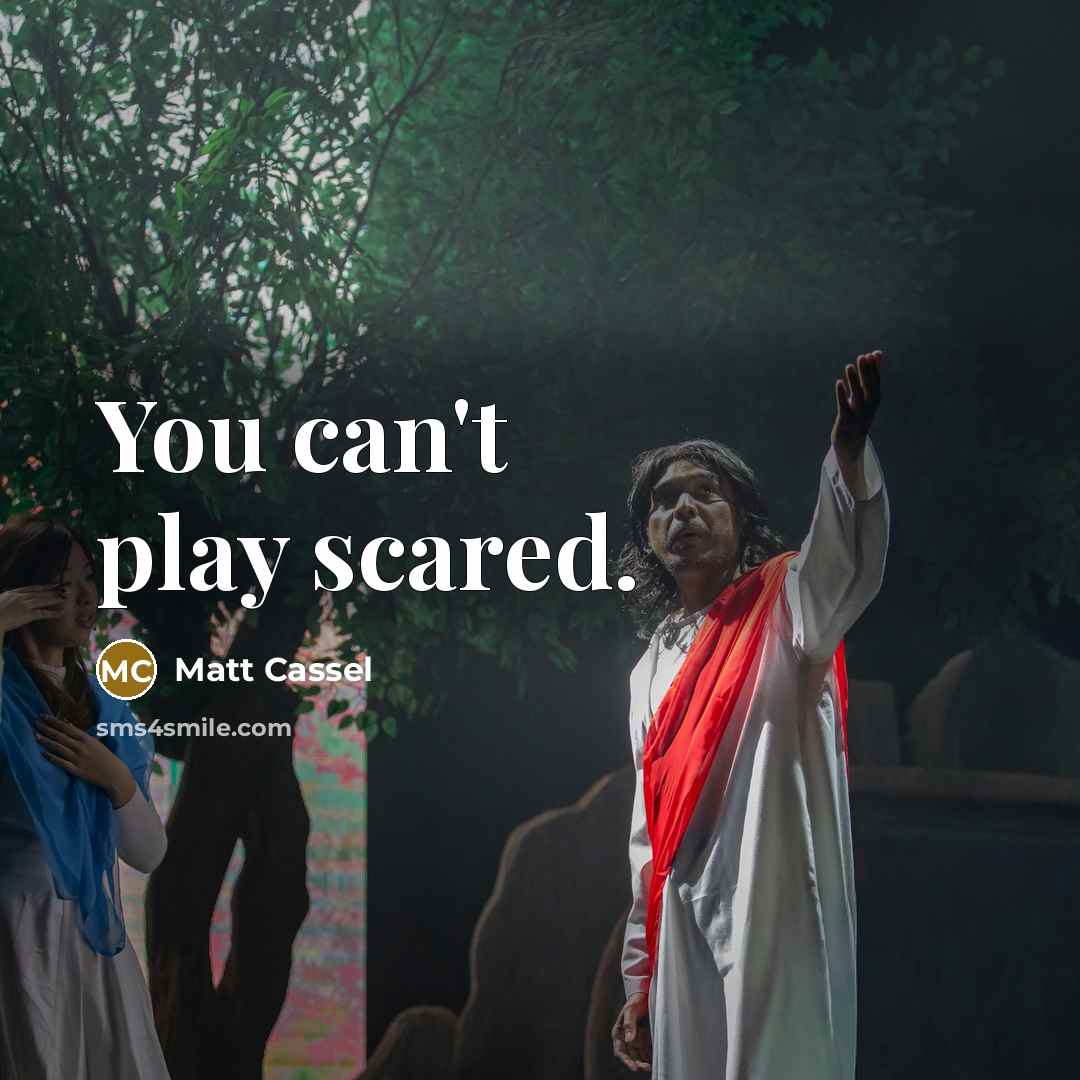 “You can't play scared.” quote by Matt Cassel