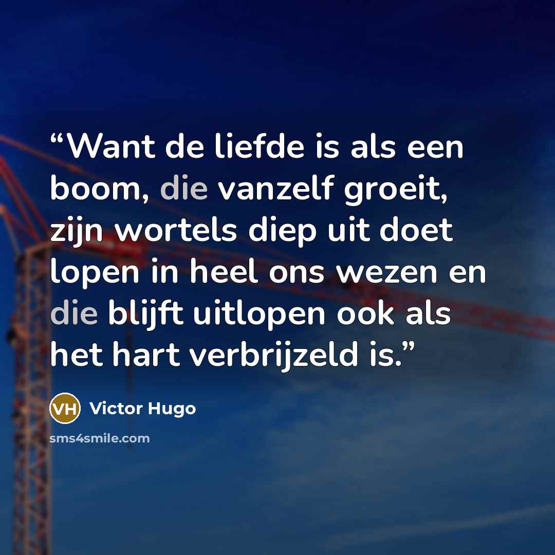 “Want de liefde is als een boom, die vanzelf groeit, zijn wortels diep uit doet lopen in heel ons wezen en die blijft uitlopen ook als het hart verbrijzeld is.” quote by Victor Hugo