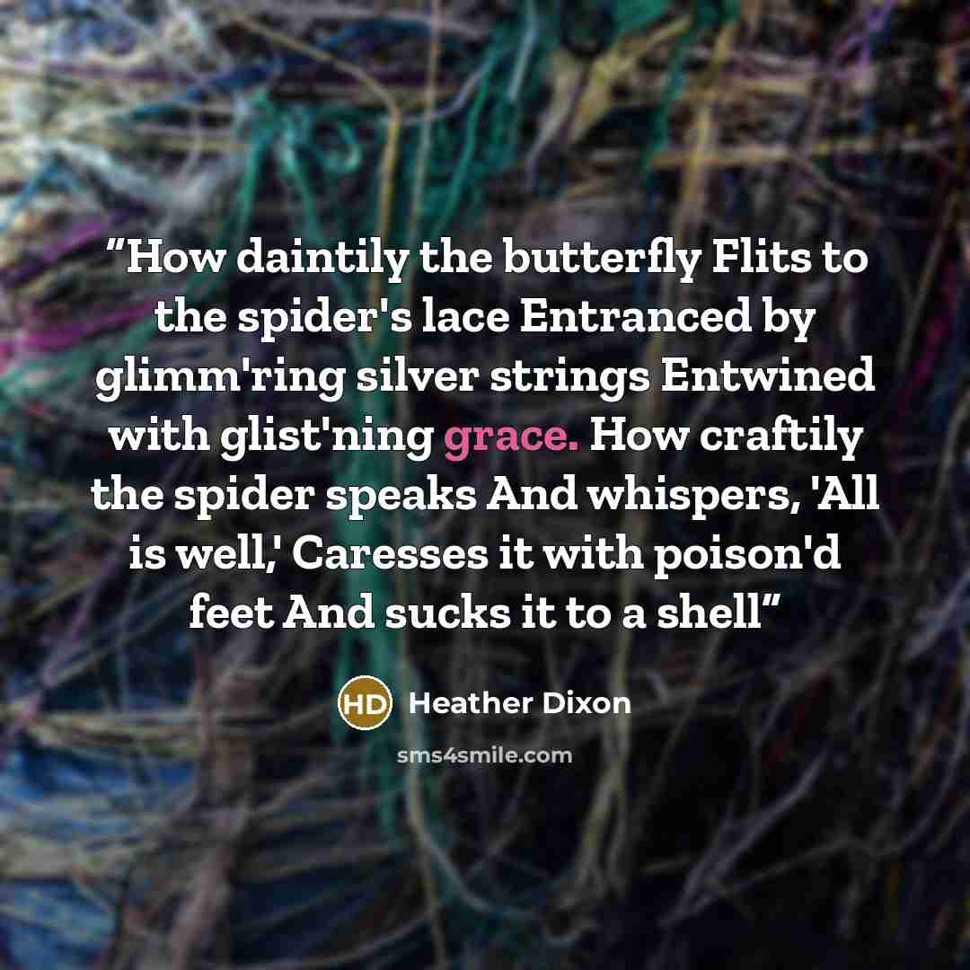 “How daintily the butterfly Flits to the spider's lace Entranced by glimm'ring silver strings Entwined with glist'ning grace. How craftily the spider speaks And whispers, 'All is well,' Caresses it with poison'd feet And sucks it to a shell” quote by Heather Dixon