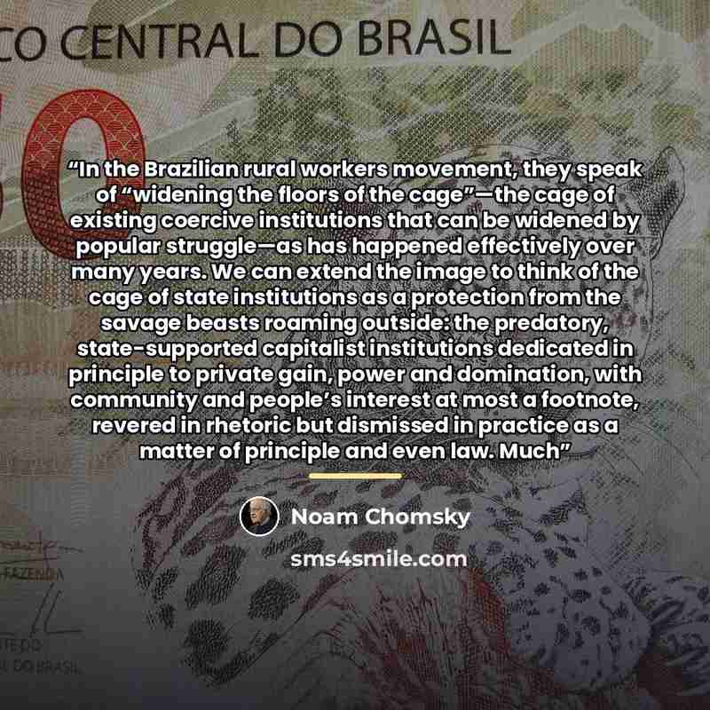 “In the Brazilian rural workers movement, they speak of “widening the floors of the cage”—the cage of existing coercive institutions that can be widened by popular struggle—as has happened effectively over many years. We can extend the image to think of the cage of state institutions as a…” quote by Noam Chomsky