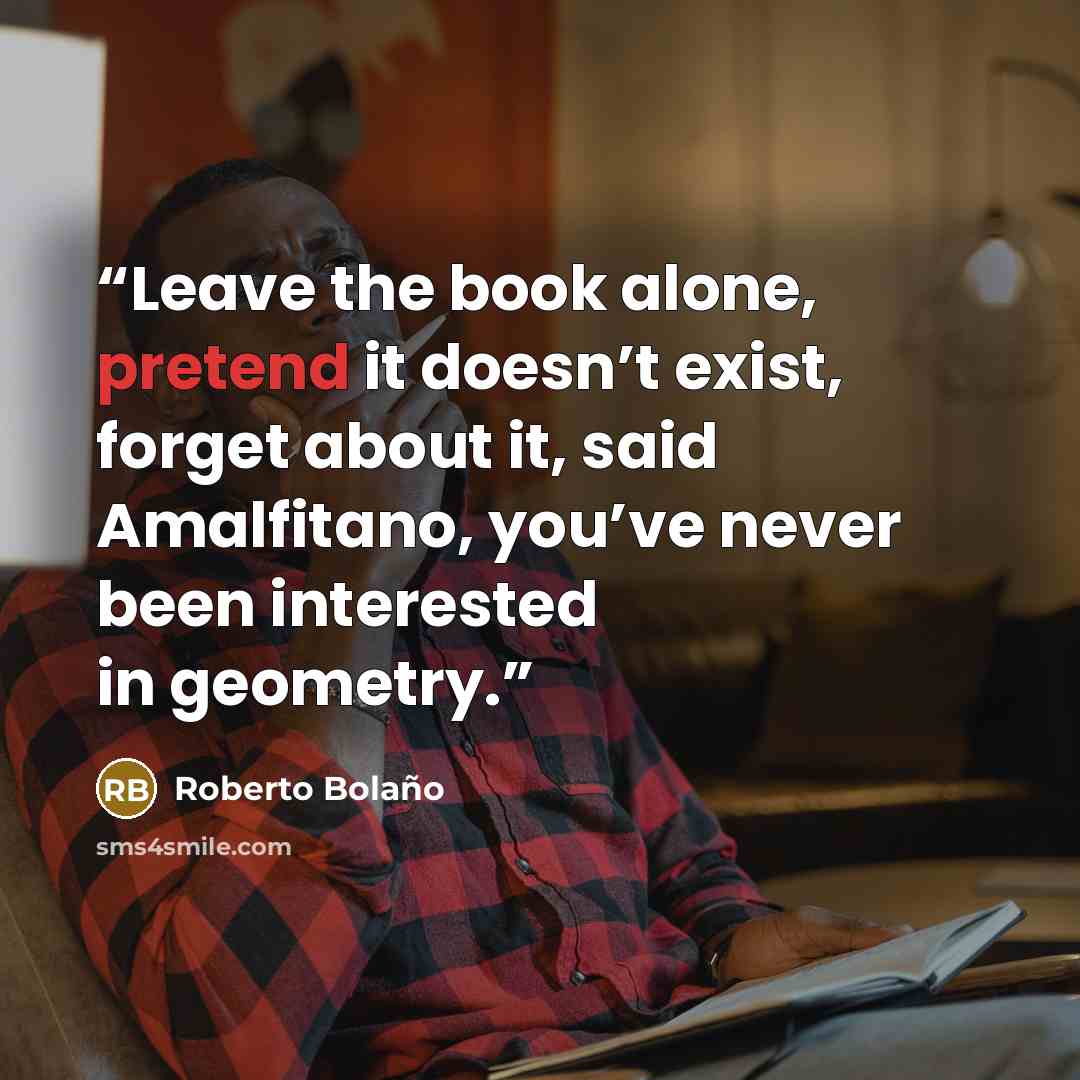 “Leave the book alone, pretend it doesn’t exist, forget about it, said Amalfitano, you’ve never been interested in geometry.” quote by Roberto Bolaño