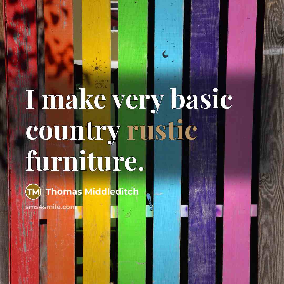 “I make very basic country rustic furniture.” quote by Thomas Middleditch