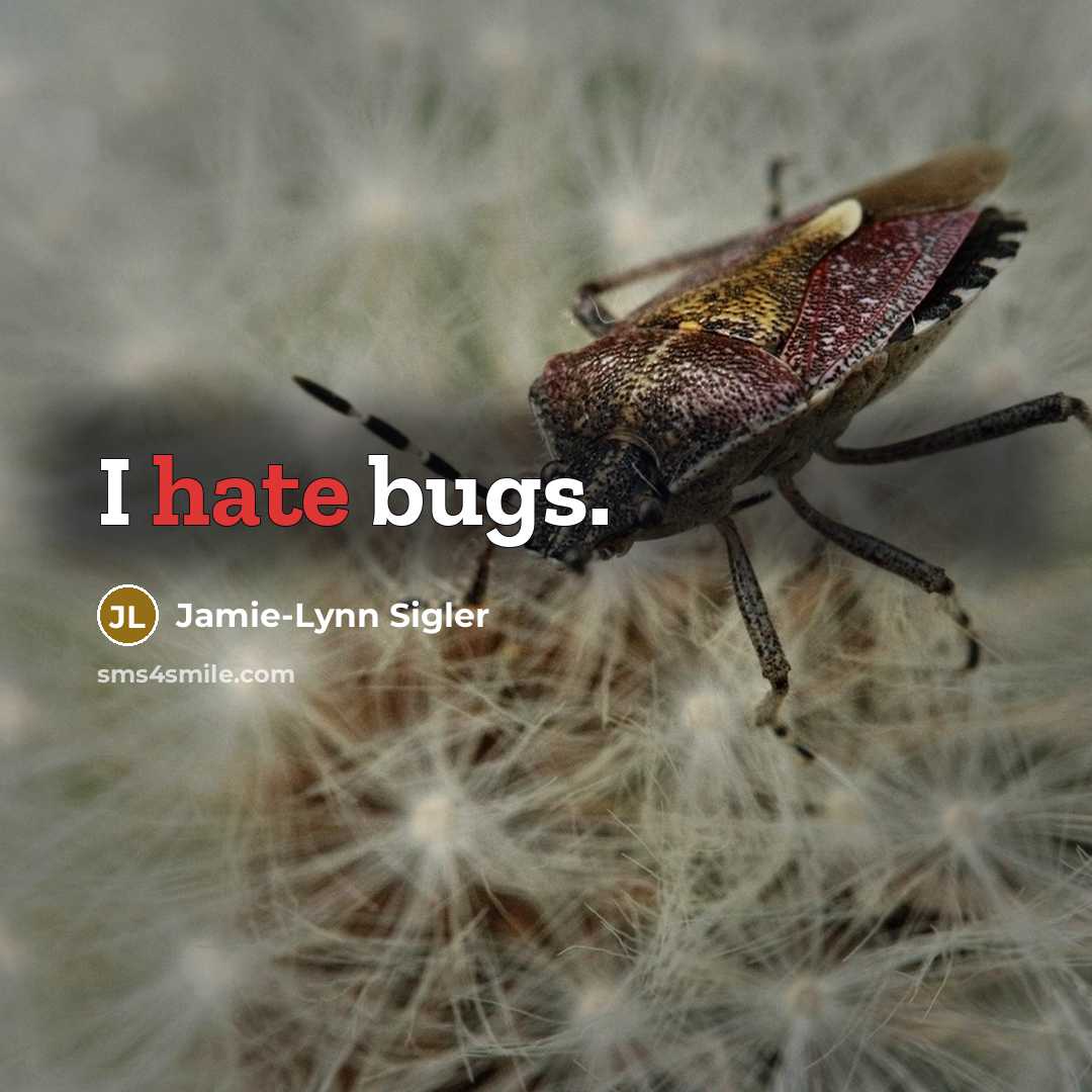 “I hate bugs.” quote by Jamie-Lynn Sigler