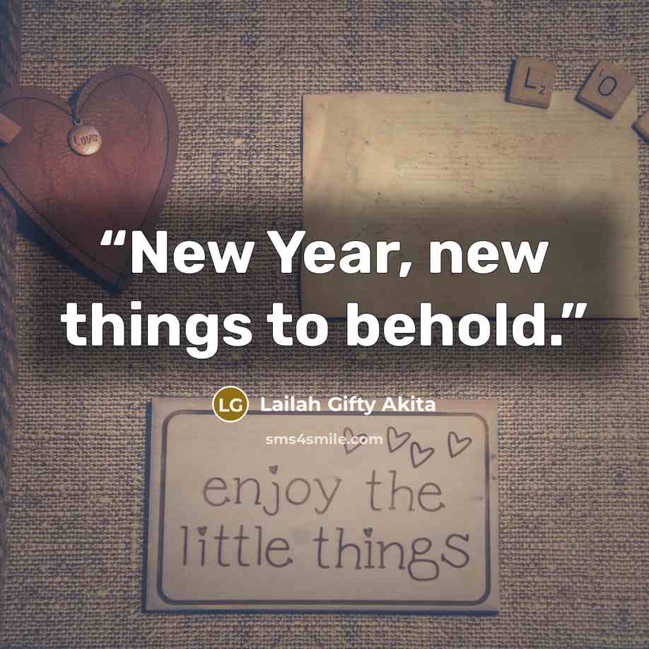 “New Year, new things to behold.” quote by Lailah Gifty Akita