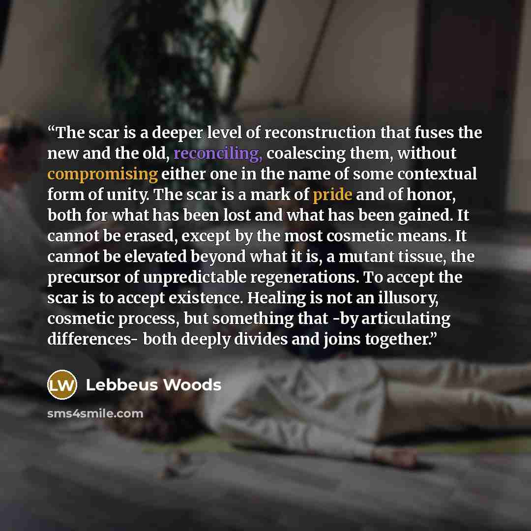 “The scar is a deeper level of reconstruction that fuses the new and the old, reconciling, coalescing them, without compromising either one in the name of some contextual form of unity. The scar is a mark of pride and of honor, both for what has been lost and what has been gained. It cannot be…” quote by Lebbeus Woods