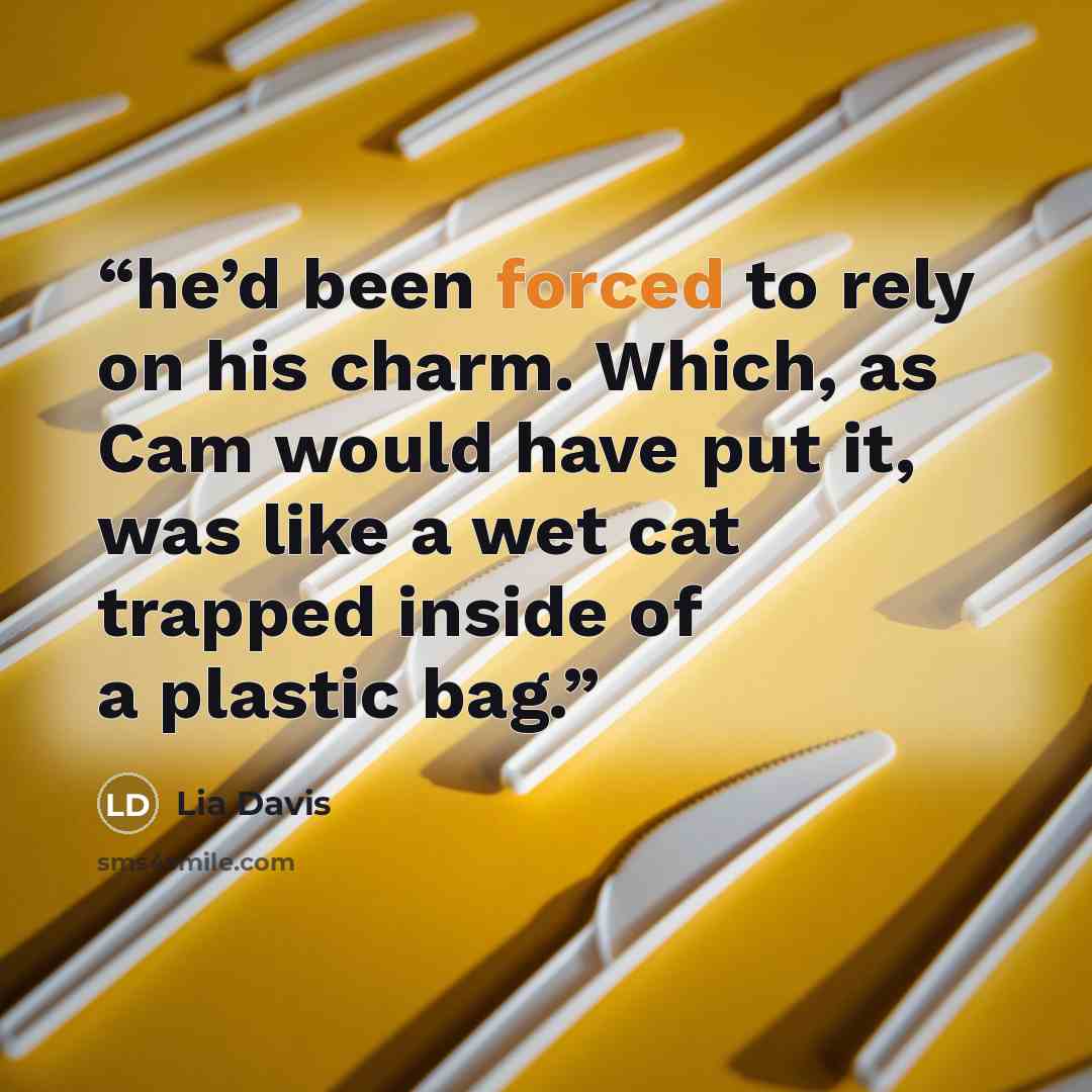 “he’d been forced to rely on his charm. Which, as Cam would have put it, was like a wet cat trapped inside of a plastic bag.” quote by Lia Davis